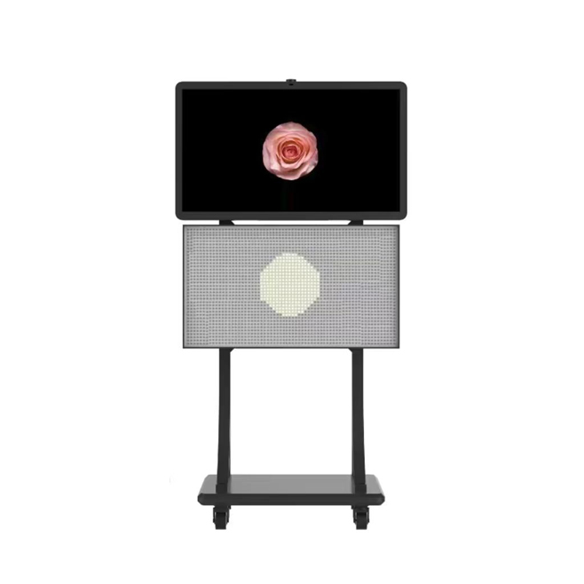 Local Dimming Display